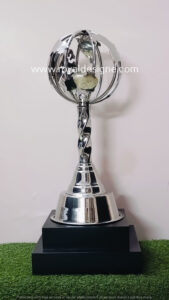 A shiny globe trophy , with a unique look.